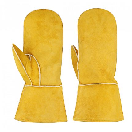 Winter Gloves